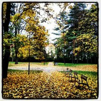 Podzimn flra Olomouc...:-)