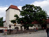 Vstupn brna Slezskoostravskho hradu.