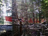 Visut lanovka miz v lese - tady tak vzcnm.