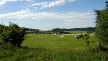 Szava - Ondejov - Temblat