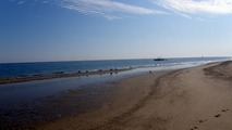 Cape Cod