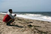Mr. Peter Cooks photos. Provincetown, MA. Thanks!