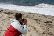 Mr. Peter Cooks photos. Provincetown, MA. Thanks!