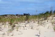 Mr. Peter Cooks photos. Provincetown, MA. Thanks!