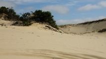 Provincetown, pobe ocenu a duny...