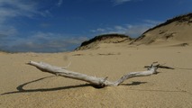 Provincetown, pobe ocenu a duny...