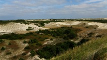 Provincetown, pobe ocenu a duny...