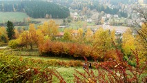 Podzimn kalc Pecka