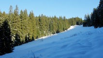 Ski Rohe 2009
