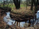 10. narozeniny Thjms