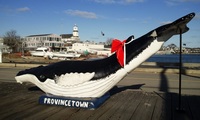 tdr den v Provincetownu:-)
