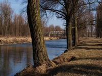 Pedja v Ostrav a na Prajzsk aneb do Rohova a zptky. 