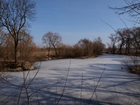 Pedja v Ostrav a na Prajzsk aneb do Rohova a zptky. 