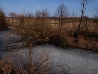 Pedja v Ostrav a na Prajzsk aneb do Rohova a zptky. 