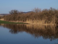 Cesta z Brna do Mikulova...