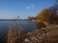 cesta z msta: Olomouc - tramberk a zpt