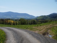 Radho na dosah! Dneska vak zstane jenom vzvou. Ale letos...