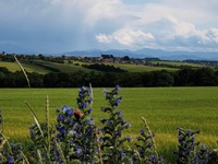 Boue nad Ostravou, vyhldka nad Velkou Polom.