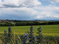 Boue nad Ostravou, vyhldka nad Velkou Polom.