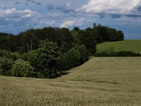 Okol Kyjovic