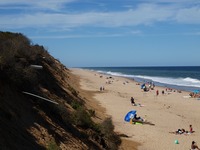 Wellfleatbeach.