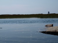 Kayaking.