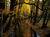 Mon posledn podn podzimn fotky mezi Svinovem a Polankou.