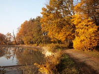Mon posledn podn podzimn fotky mezi Svinovem a Polankou.