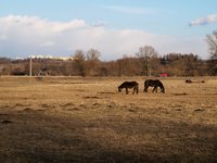 Kry na Ode koncem nora 2012.