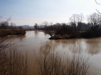 Odra mezi Polankou nad Odrou a Starou Blou.