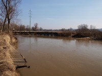 Odra mezi Polankou nad Odrou a Starou Blou.