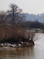 Odra mezi Polankou nad Odrou a Starou Blou.