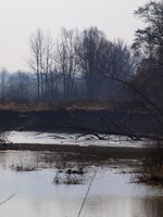 Odra mezi Polankou nad Odrou a Starou Blou.