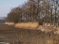 Odra mezi Polankou nad Odrou a Starou Blou.