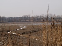 Odra mezi Polankou nad Odrou a Starou Blou.