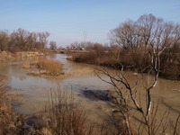 Odra mezi Polankou nad Odrou a Starou Blou.