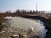 Odra mezi Polankou nad Odrou a Starou Blou.