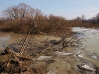 Odra mezi Polankou nad Odrou a Starou Blou.