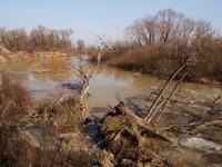 Odra mezi Polankou nad Odrou a Starou Blou.