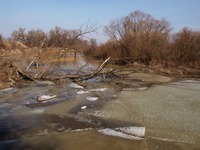 Odra mezi Polankou nad Odrou a Starou Blou.