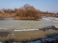 Odra mezi Polankou nad Odrou a Starou Blou.