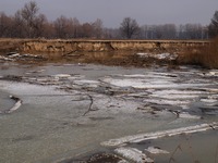 Odra mezi Polankou nad Odrou a Starou Blou.