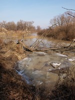 Odra mezi Polankou nad Odrou a Starou Blou.