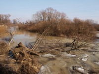 Odra mezi Polankou nad Odrou a Starou Blou.