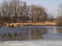 Odra mezi Polankou nad Odrou a Starou Blou.