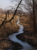 Odra mezi Polankou nad Odrou a Starou Blou.