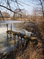 Odra mezi Polankou nad Odrou a Starou Blou.