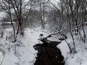 Ladovsk zima v Ostrav.