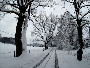 Ladovsk zima v Ostrav.