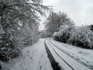 Ladovsk zima v Ostrav.